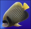cmpenney