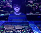 SwimsWithFish