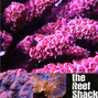 thereefshack
