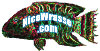 nicewrasse.com