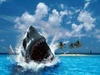 Shark