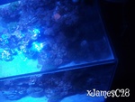xJamesC28