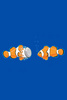Fish Geek