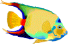 MojosReef