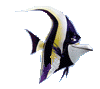 gamma