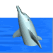 jnbahwkins