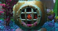 reef_novice