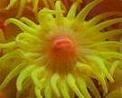 somethingfishy