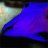 fantomas