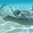 Stingray