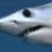 SeaGirl