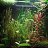 FishHobby