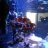 Strickland_673