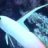 NeonGoby93