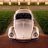71sbeetle