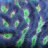 Reef Empire