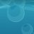 ReefDaily