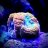 Reef2Keep