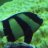 john_wilson44