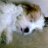 clarky2120