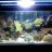 jsreef218