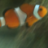 Smellsfishy1991