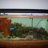 AquariumJunkie
