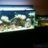 BlueWaters10