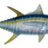 smellsliketuna