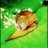 Gaeus