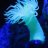 Birdfeather