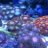5280 Reef