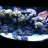 Mikey'sreef