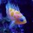 Reefbuilder