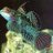 Reef_Freak