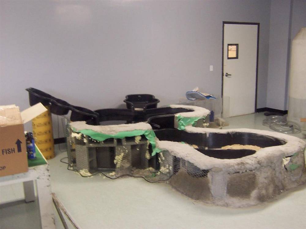 This is the first day of adding cement, more pics will come <img...