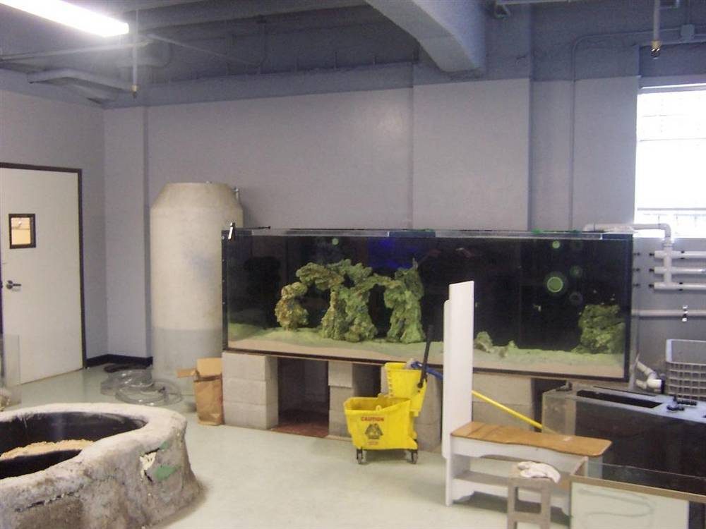 900 gallons of pure sharky goodness <img src="styles/default/xenforo/clear.png"...