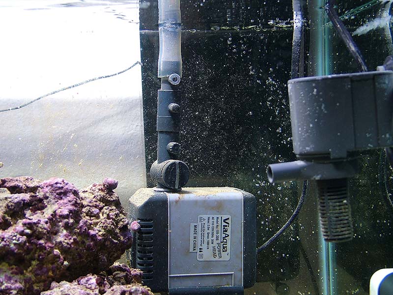 This pump makes this skimmer produce much better