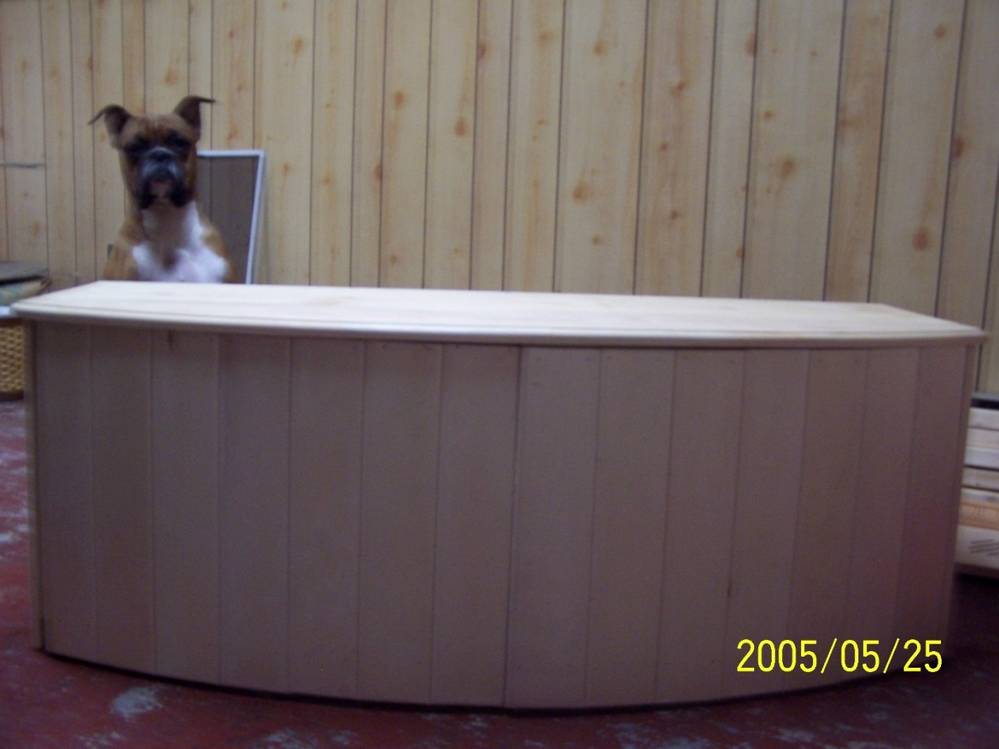 Front view [ thats my dog in the back ground (a boxer)]