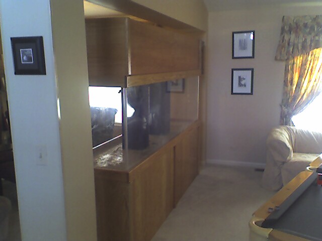 This is the view from the front hall.
