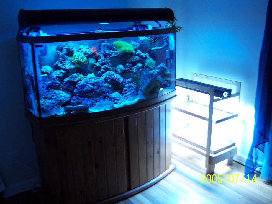 Tank and future Refugium....