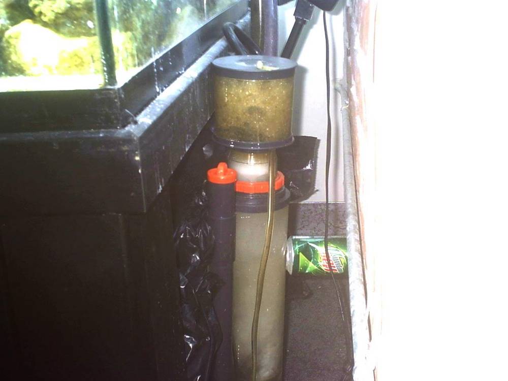 My Corralife skimmer kicking butt!