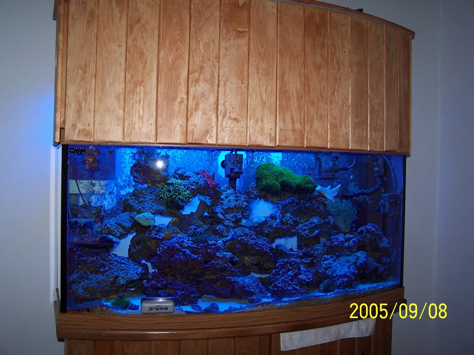 Another pis of new canopy
