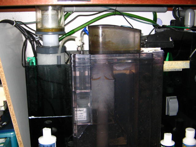 2 skimmers in action..
