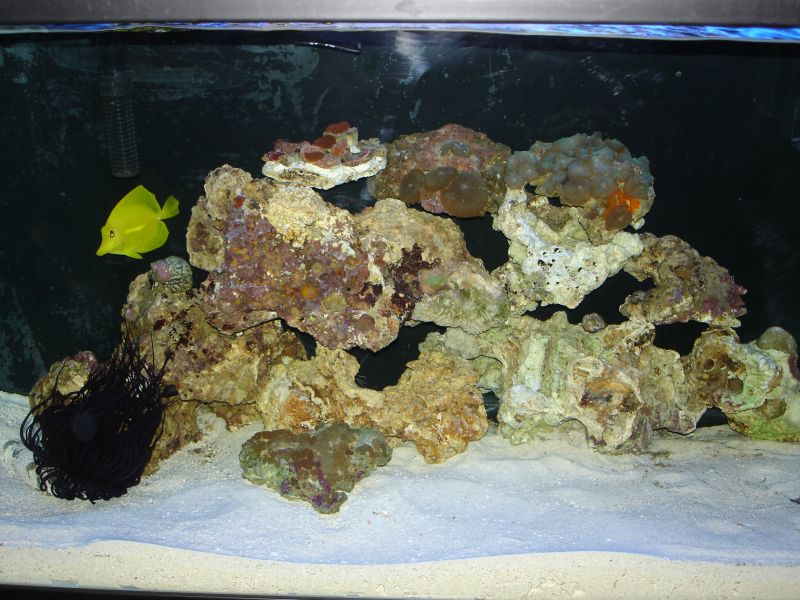 starting off couple of frags