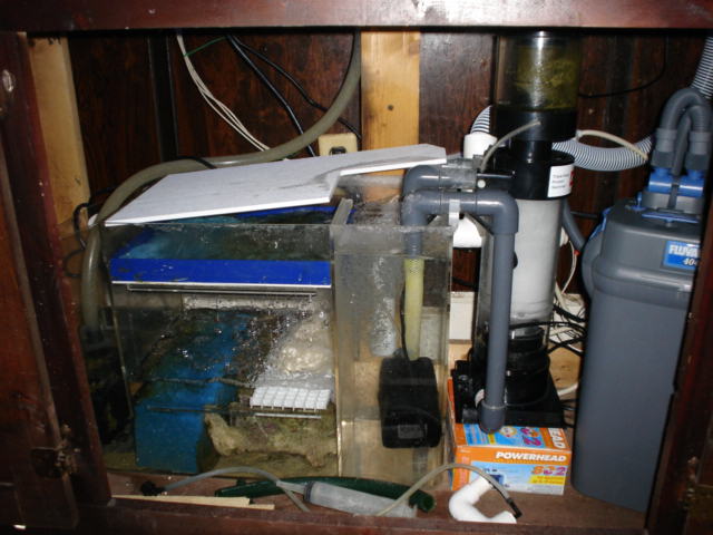 trying to fit way to much under my tank