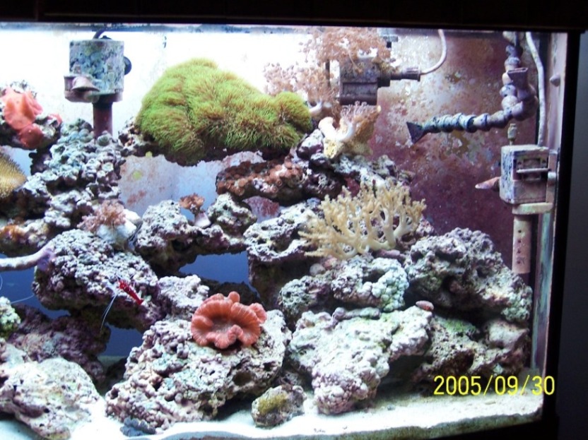 Right side of tank.