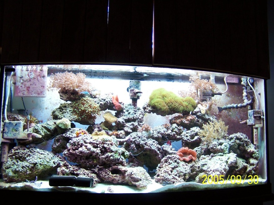The hole tank.