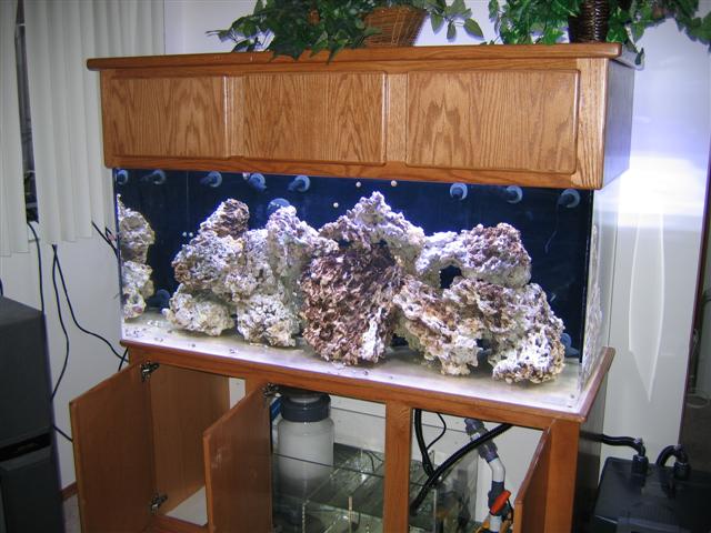 Full tank shot