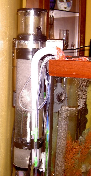SeaClone 100 installed as hang on back on a 45-gallon modified hexagon tank.